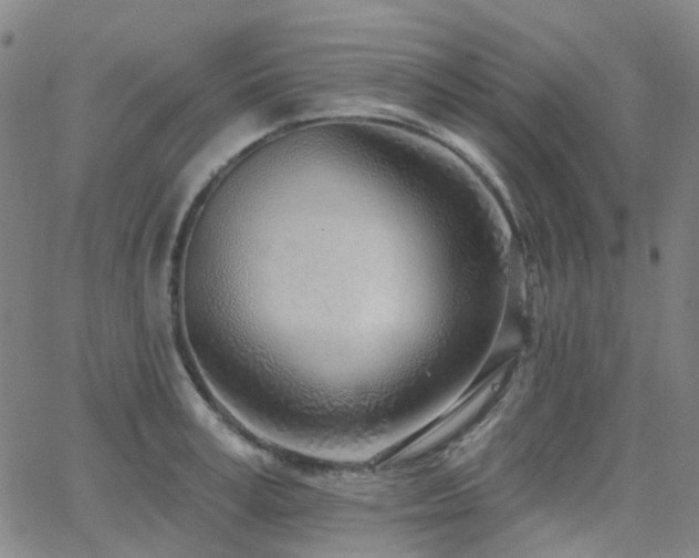 X0000063450995200601201215