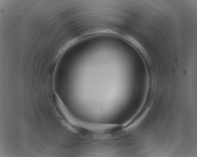 X0000063451001200601201215