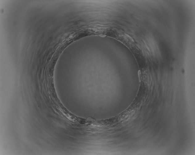 X0000063451009200601201214