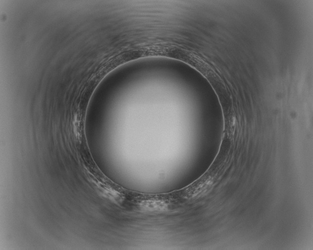 X0000063451010200601201214