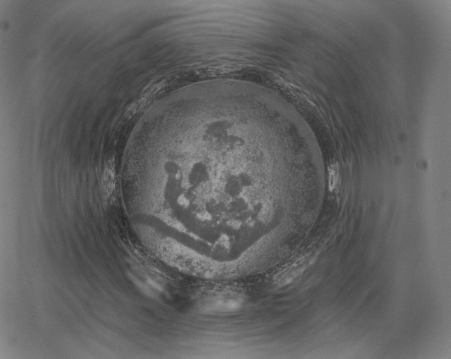 X0000063451011200601201214