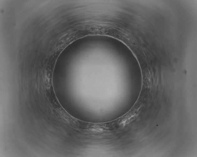 X0000063451013200601201214