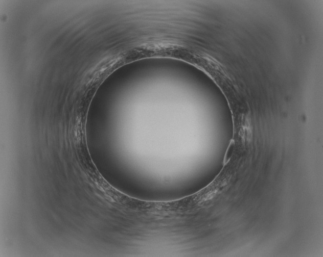 X0000063451014200601201215