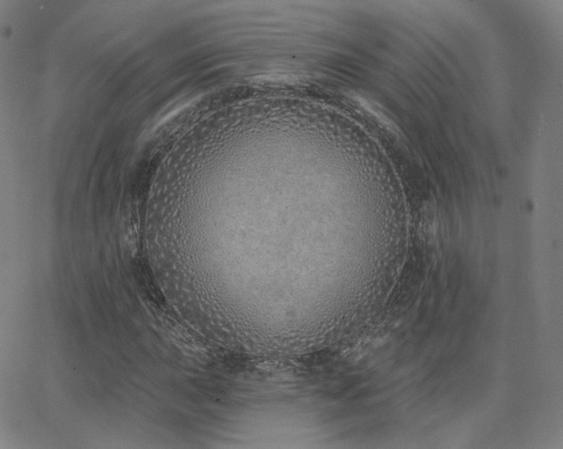 X0000063451015200601201215