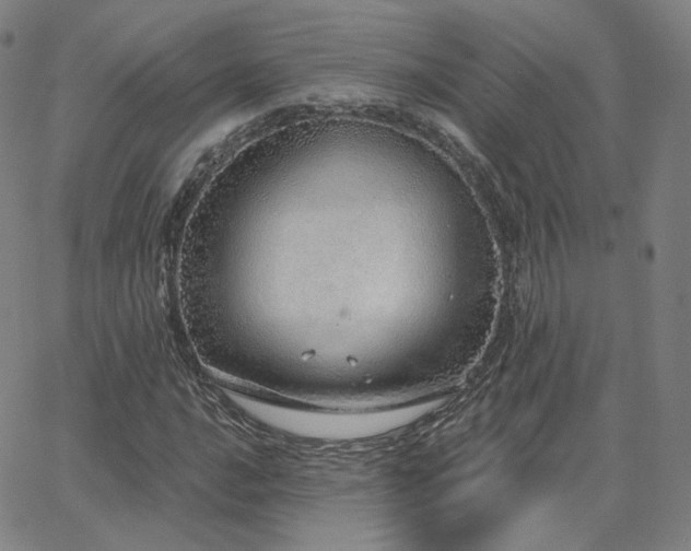 X0000063451016200601201215