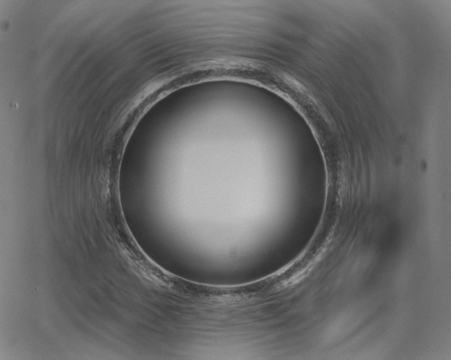 X0000063451017200601201215