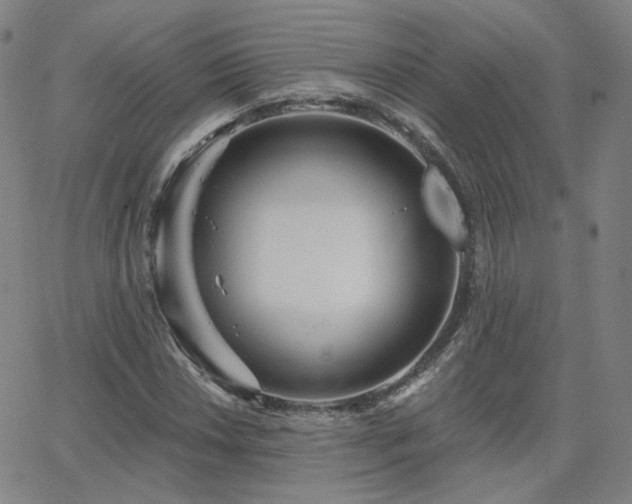 X0000063451018200601201215