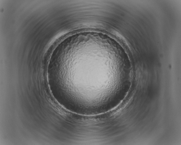X0000063451019200601201215