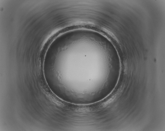 X0000063451021200601201215