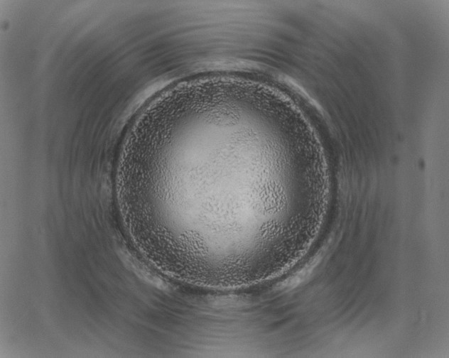 X0000063451025200601201215