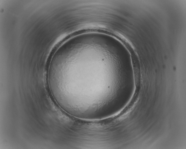 X0000063451029200601201215