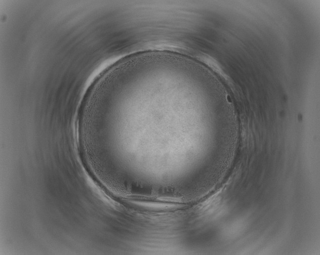 X0000063451032200601201215