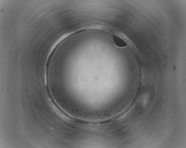 X0000063451036200601201215