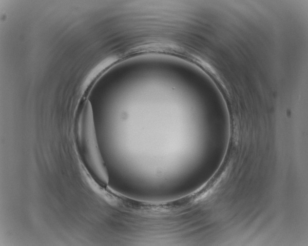 X0000063451042200601201215