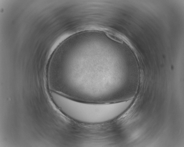 X0000063451048200601201215