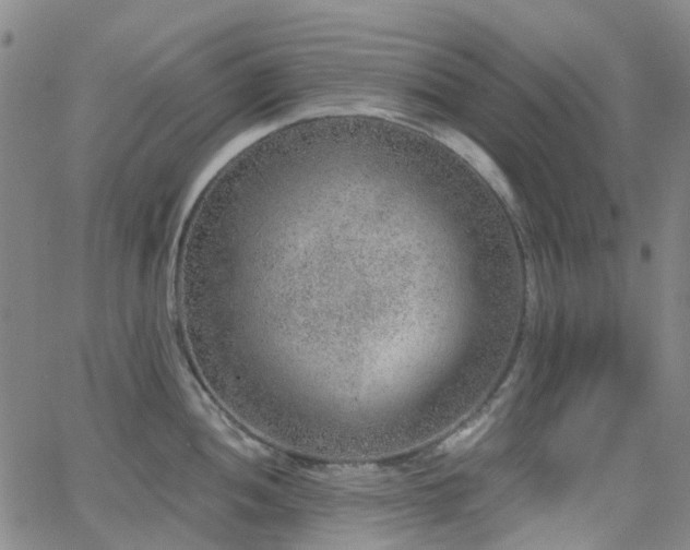 X0000063451052200601201215