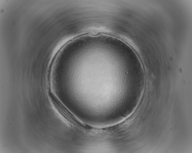 X0000063451056200601201215