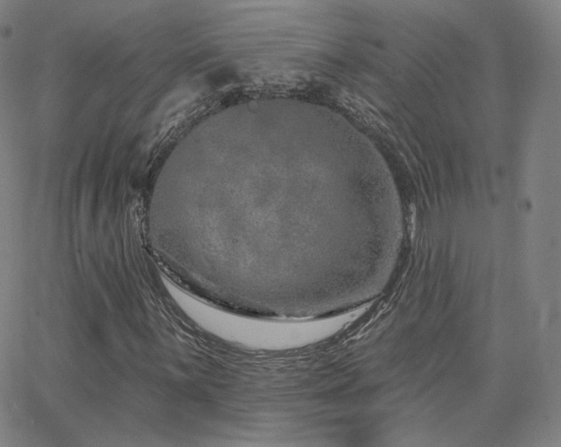 X0000063451059200601201214