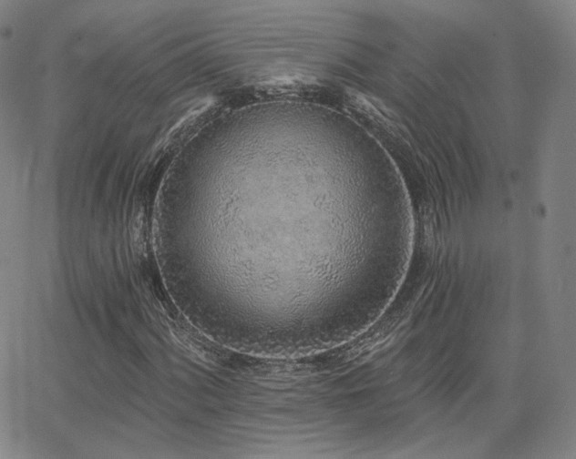 X0000063451060200601201214
