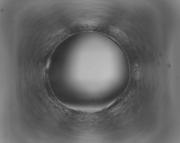 X0000063451061200601201214