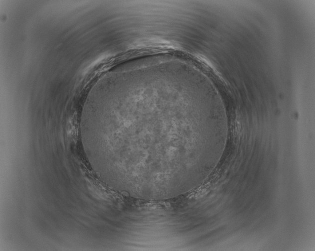 X0000063451063200601201214