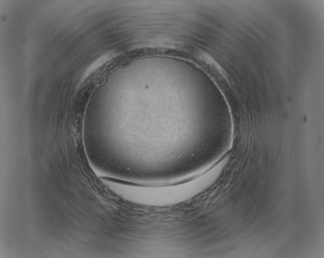 X0000063451064200601201214