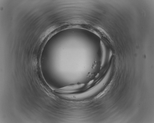 X0000063451065200601201214