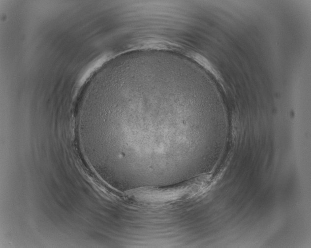 X0000063451067200601201214
