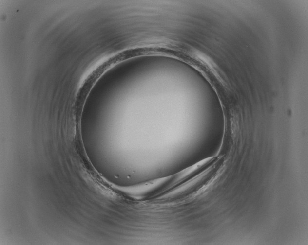 X0000063451069200601201214