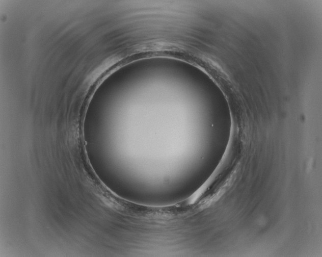 X0000063451073200601201214