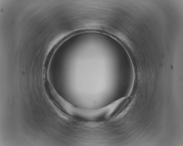 X0000063451077200601201214