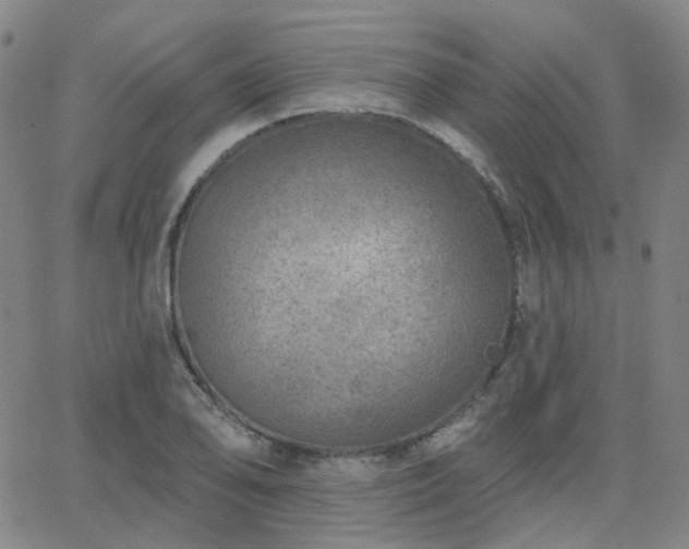 X0000063451078200601201214