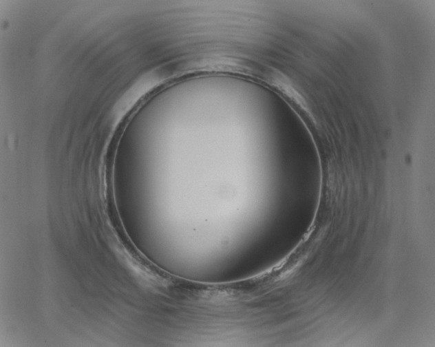 X0000063451082200601201214