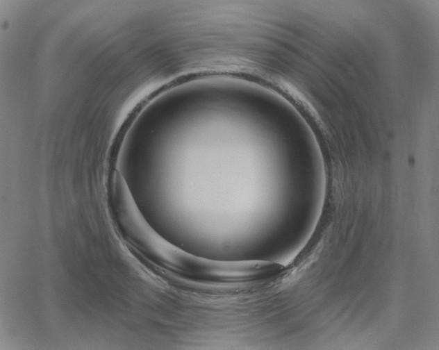 X0000063451085200601201214