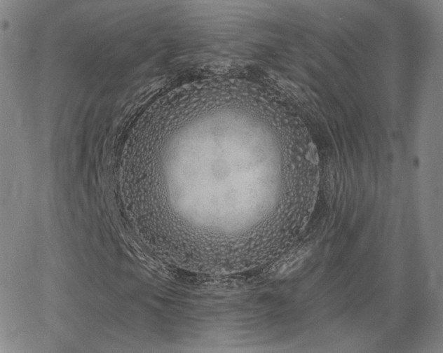 X0000063451105200601201213