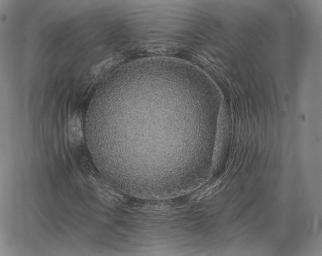 X0000063451106200601201213