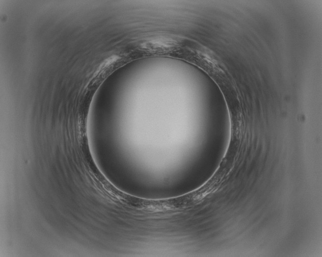X0000063451108200601201213