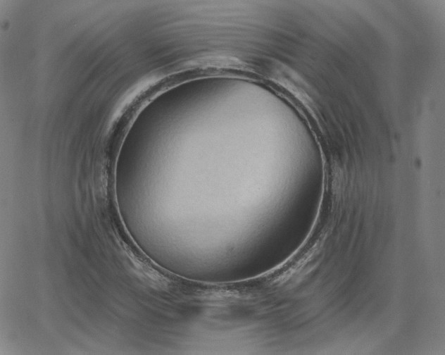 X0000063451115200601201213