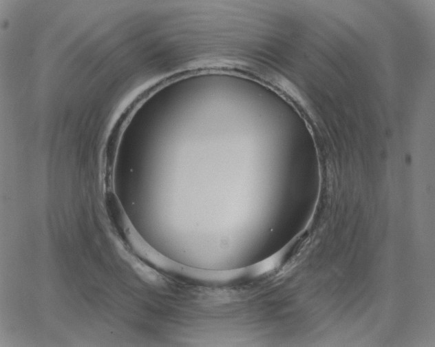 X0000063451124200601201213