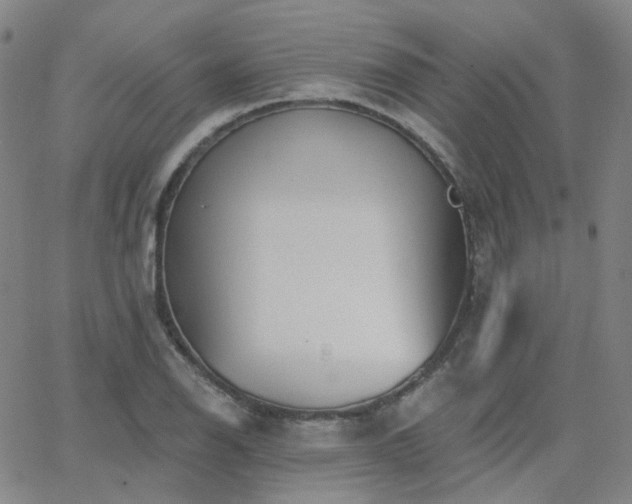 X0000063451126200601201213