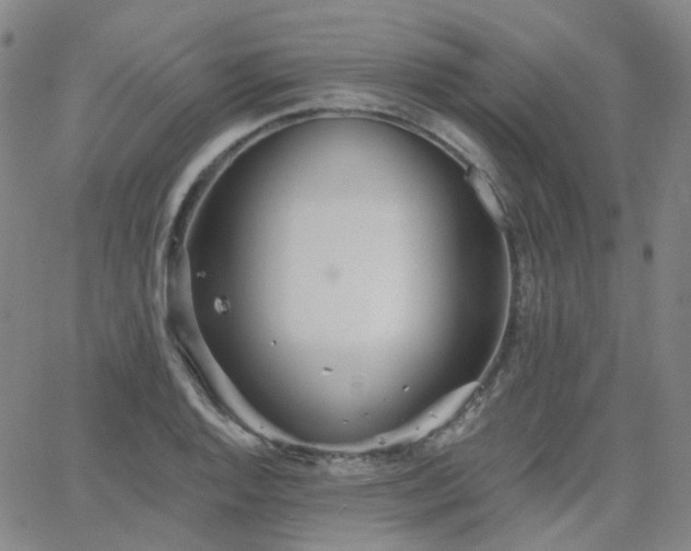 X0000063451128200601201213