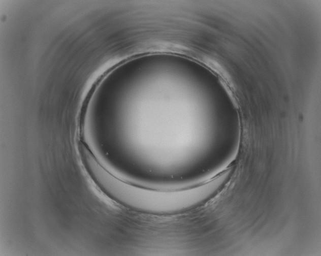 X0000063451136200601201213