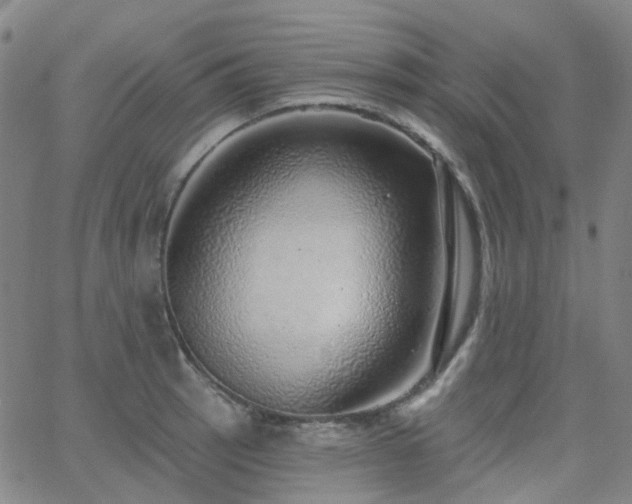 X0000063451137200601201213