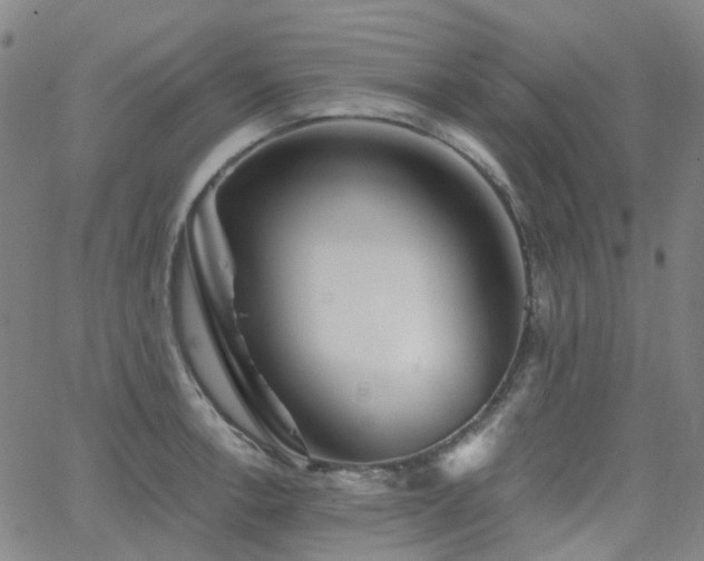 X0000063451138200601201213