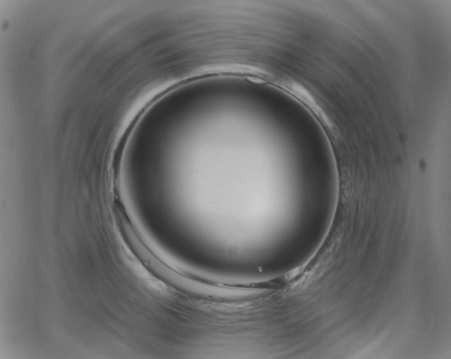 X0000063451140200601201213