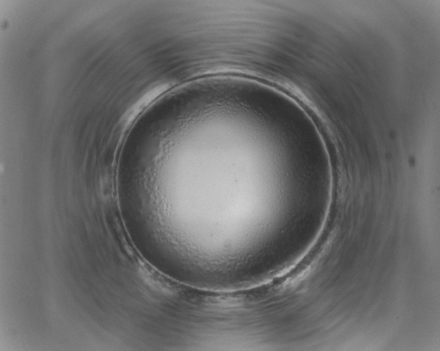 X0000063451145200601201214