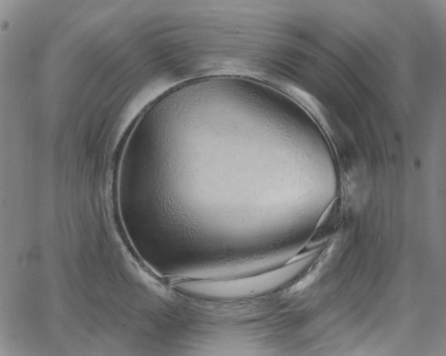 X0000063451149200601201214