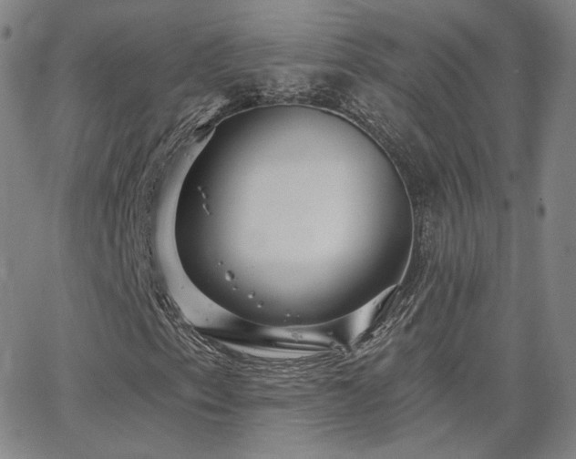 X0000063451153200601201213