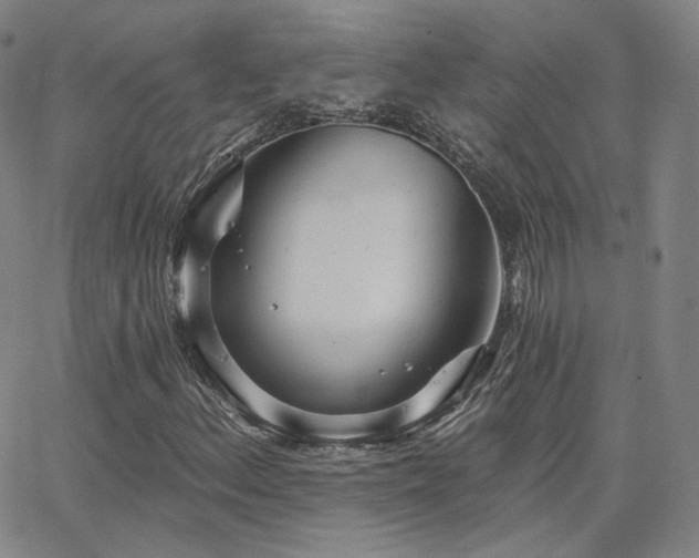 X0000063451156200601201213