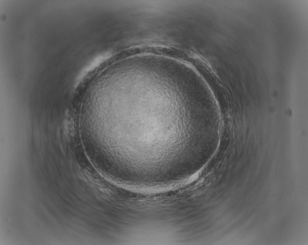 X0000063451159200601201213